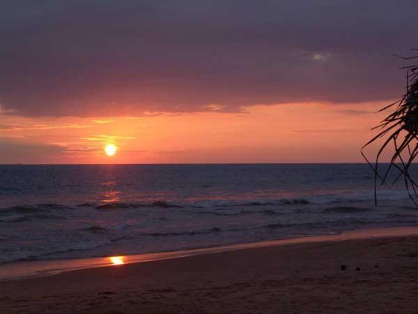 Harmony Guest House & Top Secret Beach Hikkaduwa Buitenkant foto